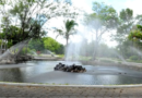 Parque Belvedere